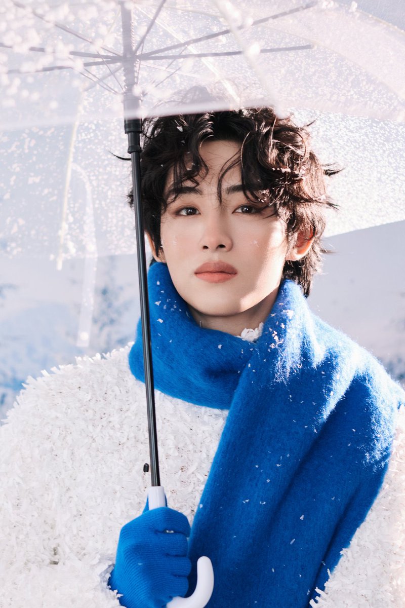 🌻 tweet media