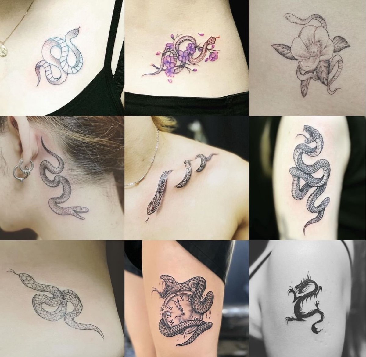 axeltattoo's tweet photo. 巳年🐍

#刺青 #タトゥー #tattoo #立川 #立川タトゥー #タトゥー立川 #立川刺青 #立川彫師 #彫もと #和彫り #洋彫り #ワンポイントタトゥー #花タトゥー #アニメタトゥー #タトゥー女子 #ガールズタトゥー #メデューサタトゥー #蛇タトゥー #ヘビタトゥー https://t.co/dE395WwYwL