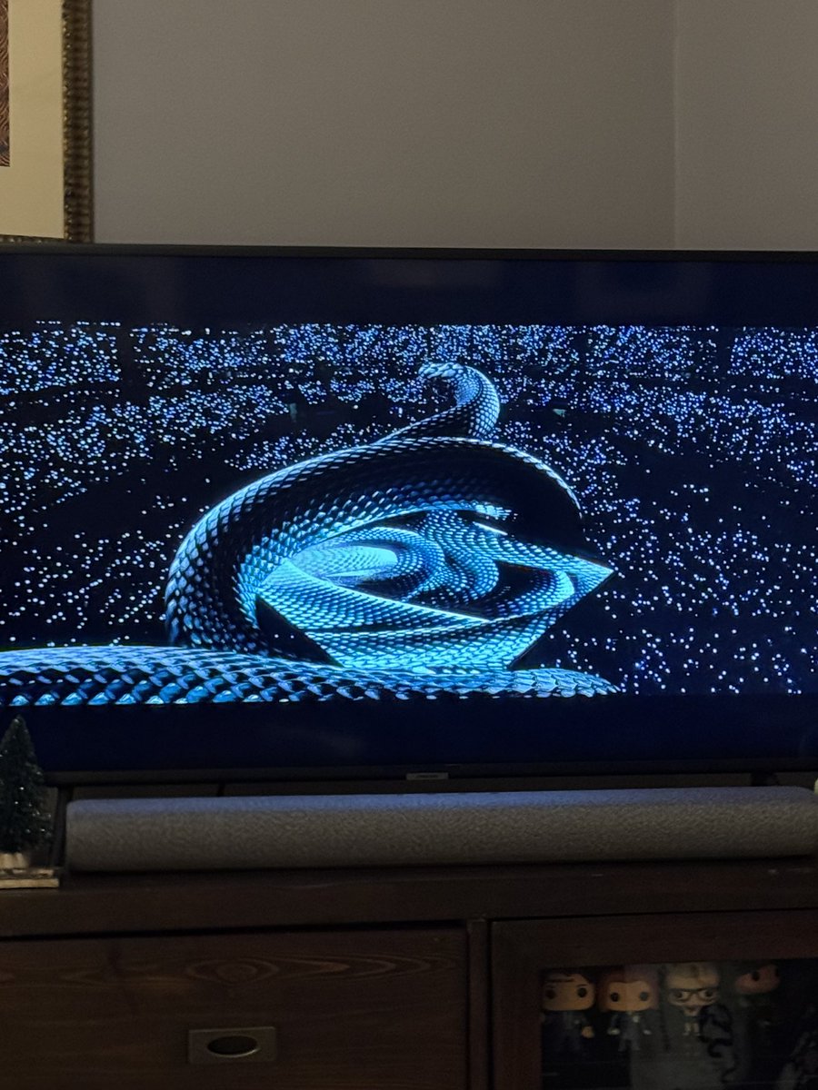 NFNicole🐢🐘🐆🐾 tweet media