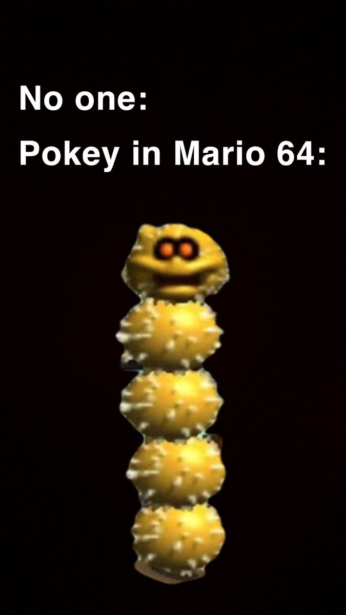 Llama Ragu Shoe tweet media