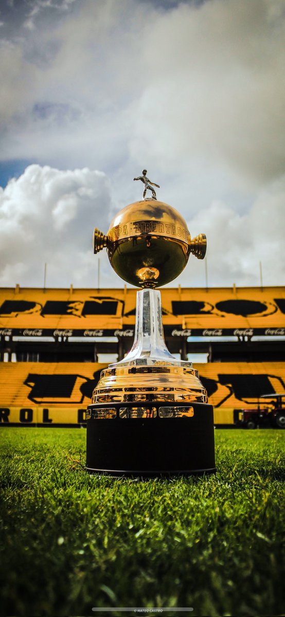 TENEMOS LA OBLIGACIÓN, TIENE QUE SER NUESTRO AÑO.