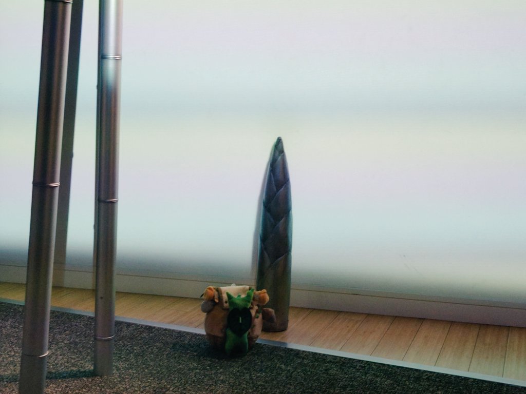elisspiEllozo's tweet photo. ざっくばらんにポスト or リポスト。
特にRoBoHoN、LOVOT、春とヒコーキ、ゼルダの旅コログ、サクレにはよく反応してると思います。

みなさま、なかよくしてくださったら嬉しいです🙏🏻

#ロボホンオーナーと繋がりたい
#旅コログ好きと繋がりたい https://t.co/fz2hFkTUTo