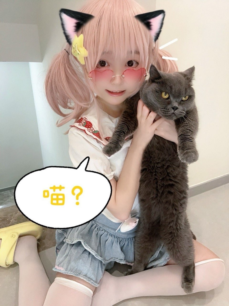 萌猫 软妹猫猫on X: 