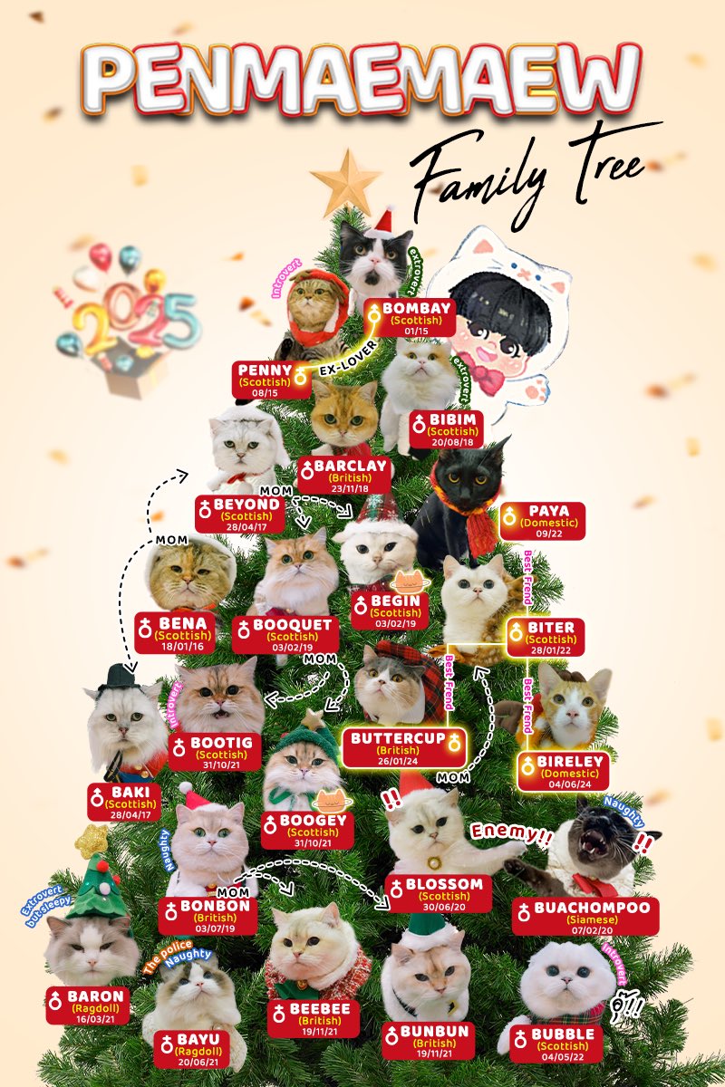 โบนัสเป็นแม่แมว tweet media