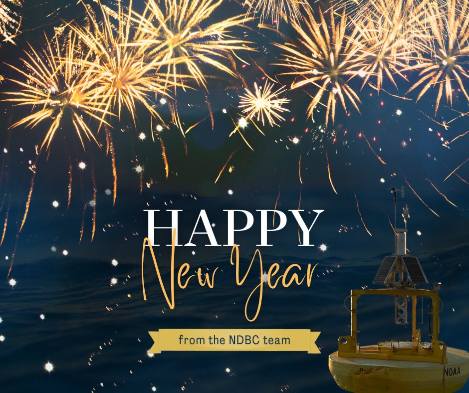 🥳Happy New Year! 🎇
Thank you to all our partners, and to everyone who relies on data our buoys provide. Your support is invaluable to us. Here’s to a new year full of development and discoveries, collaboration and connection, and making our oceans and communities safer! 🌊