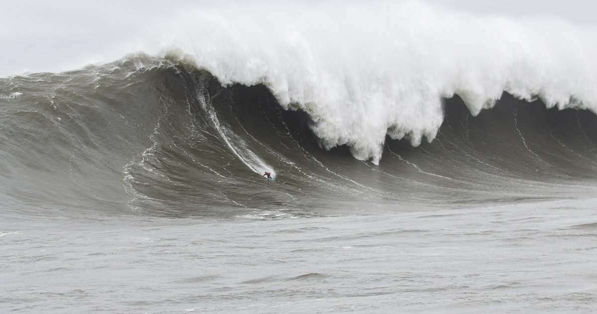 Amy Larson tweet media