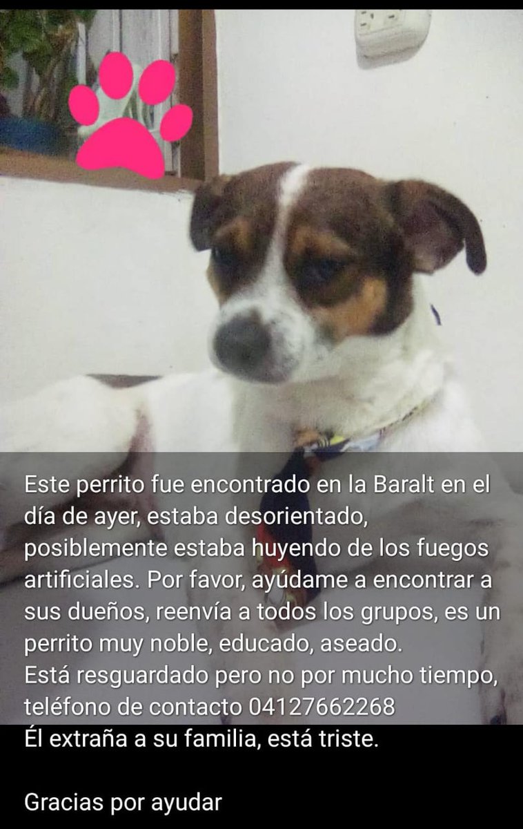 Atención Av,Baralt Caracas. Este peque busca a su familia. Difunde para ayudarlo a volver a su hogar