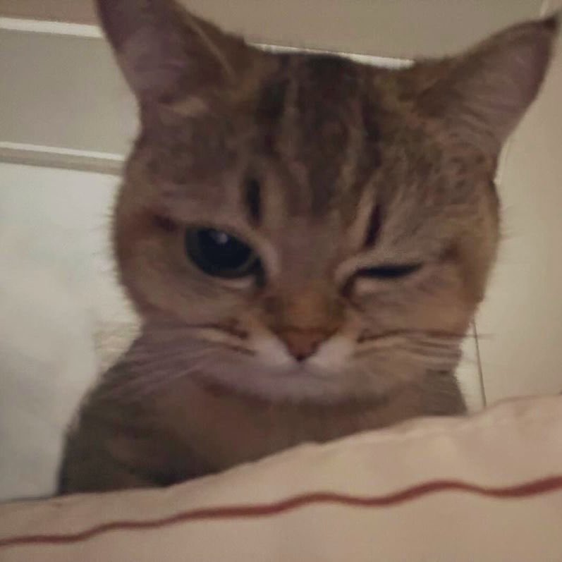 感谢大家2024年的陪伴，2025也请多多关照哦！😉