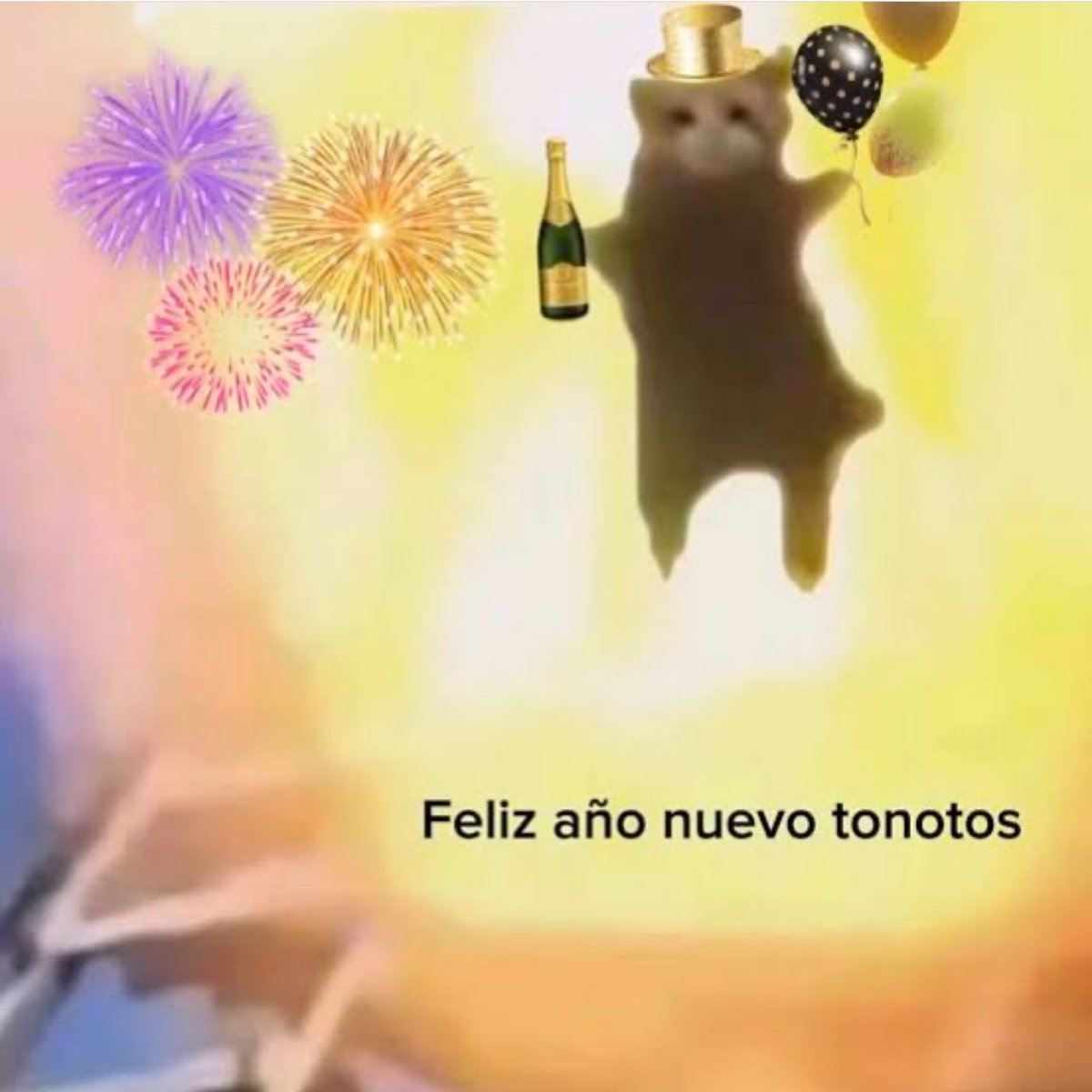 Feliz año 🎆