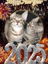 Isuimas ⛧ tweet media