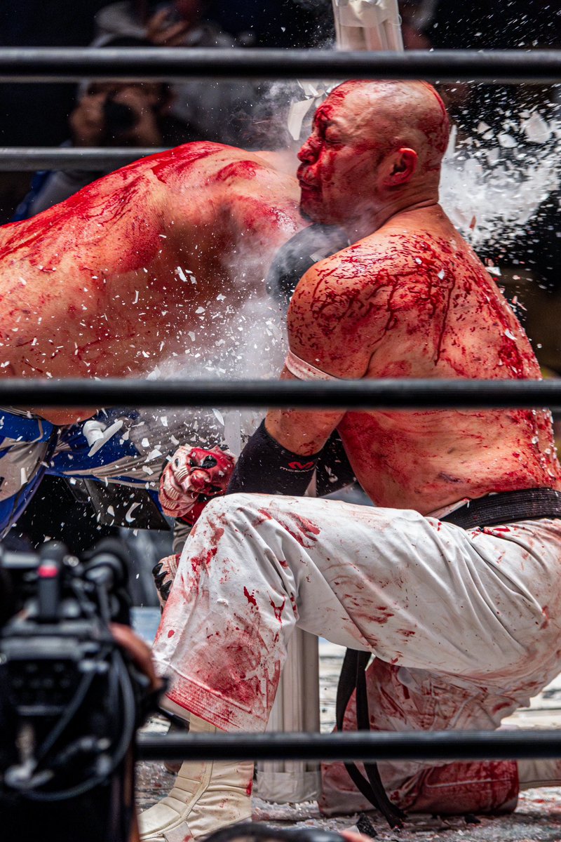 2024 12.31 #大日本プロレス 後楽園ホール
#杉浦透 選手
右肘with蛍光灯束！
1週間の間で3試合も蛍光灯デスマッチこなせるなんて本当に凄い事だと思いますし、間違いなく日本のデスマッチ界を引っ張っていくのは杉浦選手だと思います。
#bjw #pw_freedoms #kodwgp