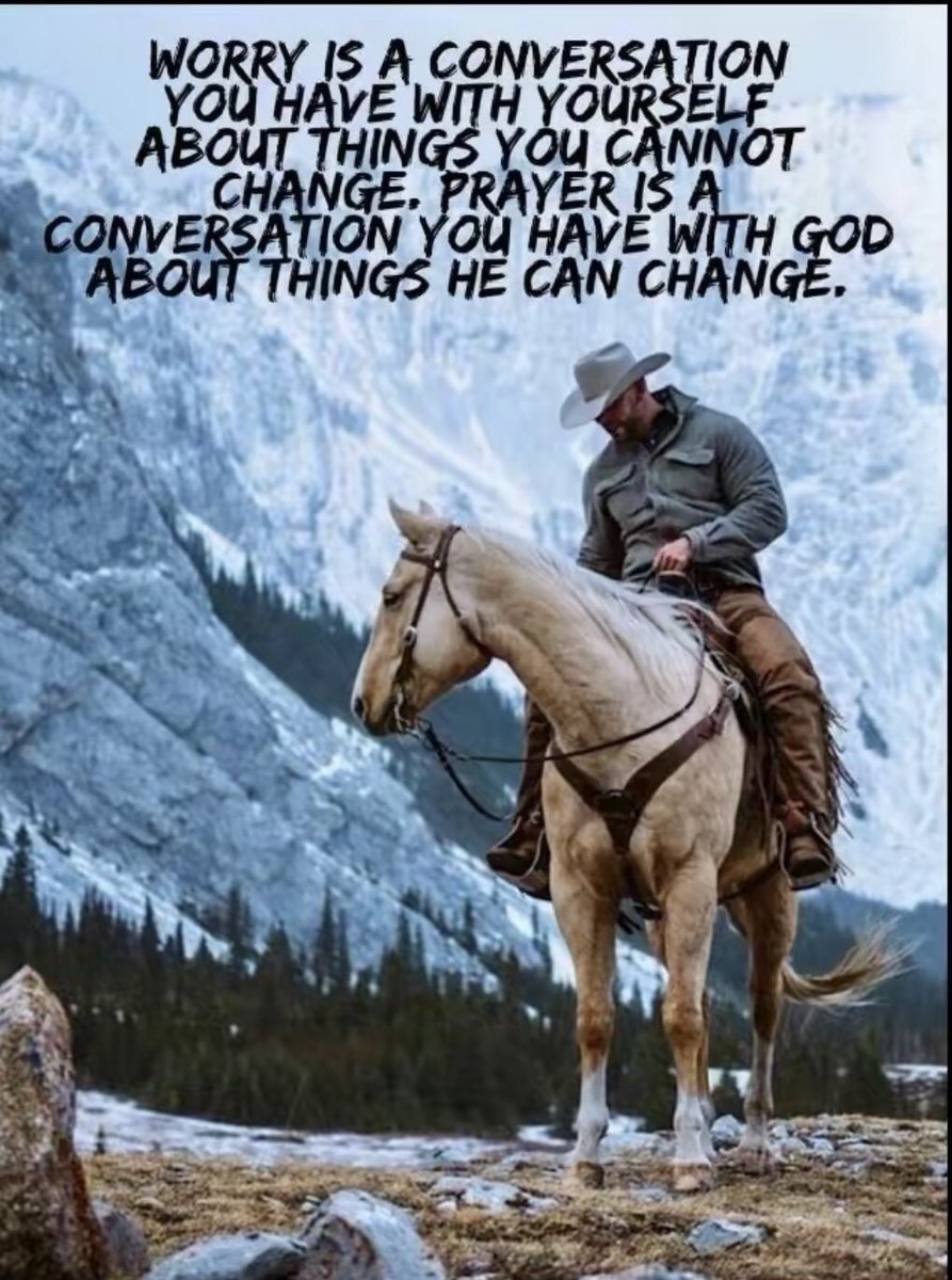 GordonCattle's tweet photo. https://t.co/zO5oPzoInx
