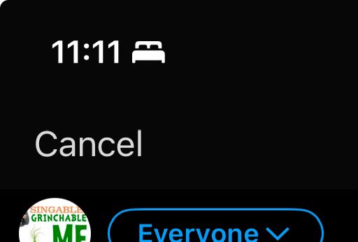 Singable, Grinchable🎉🎁🎄🍪💈☃️❄️✡️✝️☪️🕎 /ミニオン tweet media