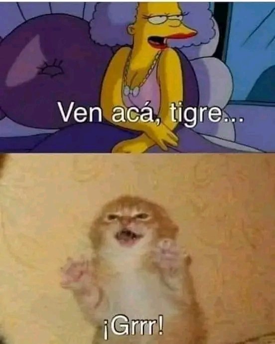 suguema's tweet image. #LeyDeVida #57382
NADA en la vida llega sin CHINGARLE..
TODO lo regalado no dura nada..
La única FORMULA DEL ÉXITO es :
Amor, Paciencia, disciplina y ESFUERZO. Y siempre habrá SACRIFICIOS para alcanzarla.
Que cada META que tengan en este 2025 se cumpla.
#HappyNewYear2025
#TanTan