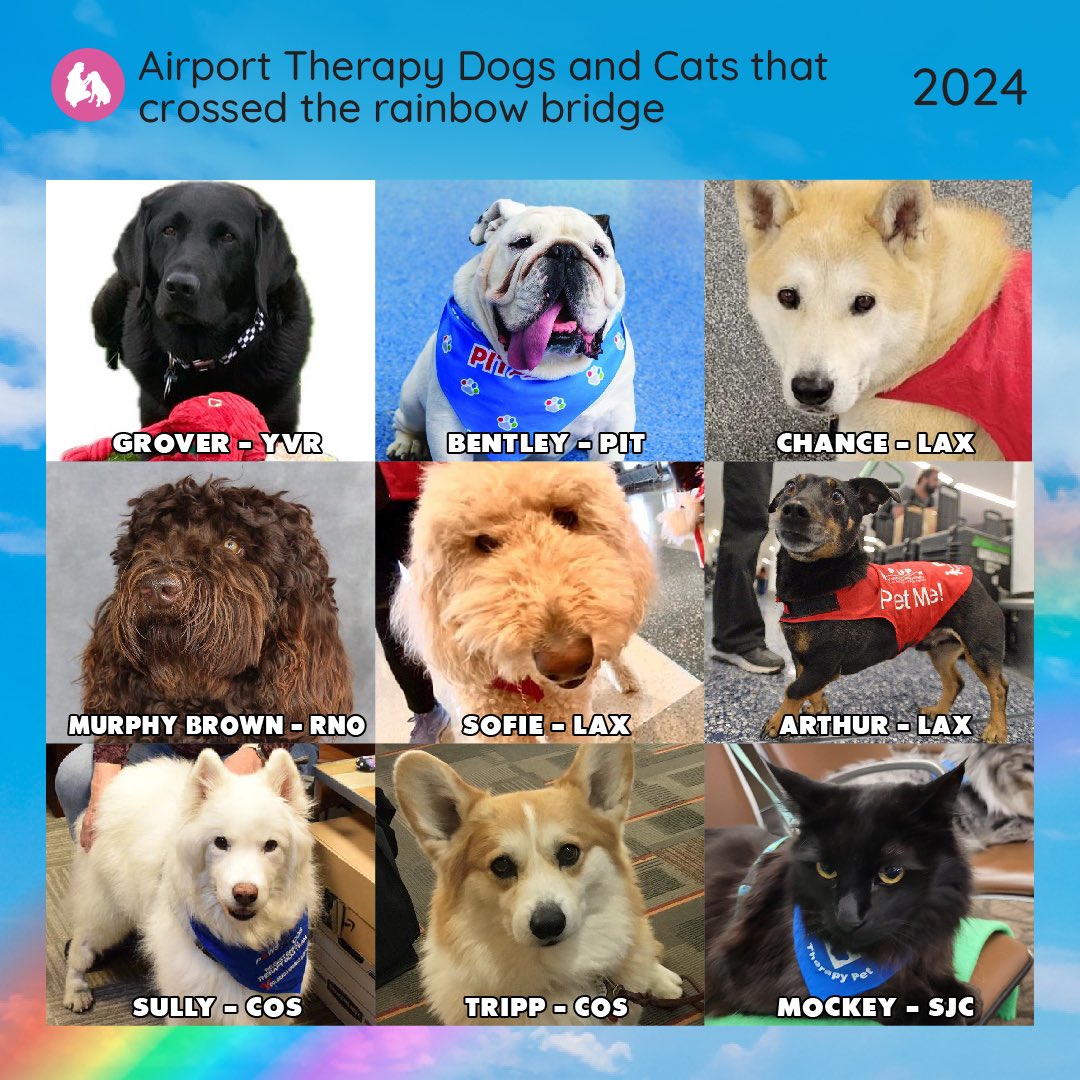 APTherapyDogs's tweet photo. As we countdown towards a new year 
We are celebrating our friends who crossed the rainbow 🌈 bridge 2024

#airporttherapydogs2024 @PHLAirport @COSAirport @PHXSkyHarbor @JohnWayneAir @CLTAirport @thenunezreport @DENAirport @flySEA @BUFAirport @PITairport @LAXPUPS @yvrairport https://t.co/zEzG2KdVha
