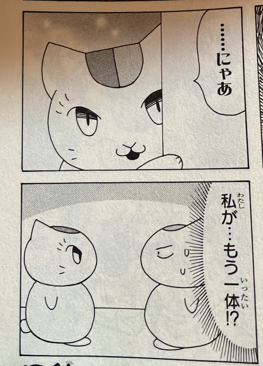 ニャンコ先生が行く!