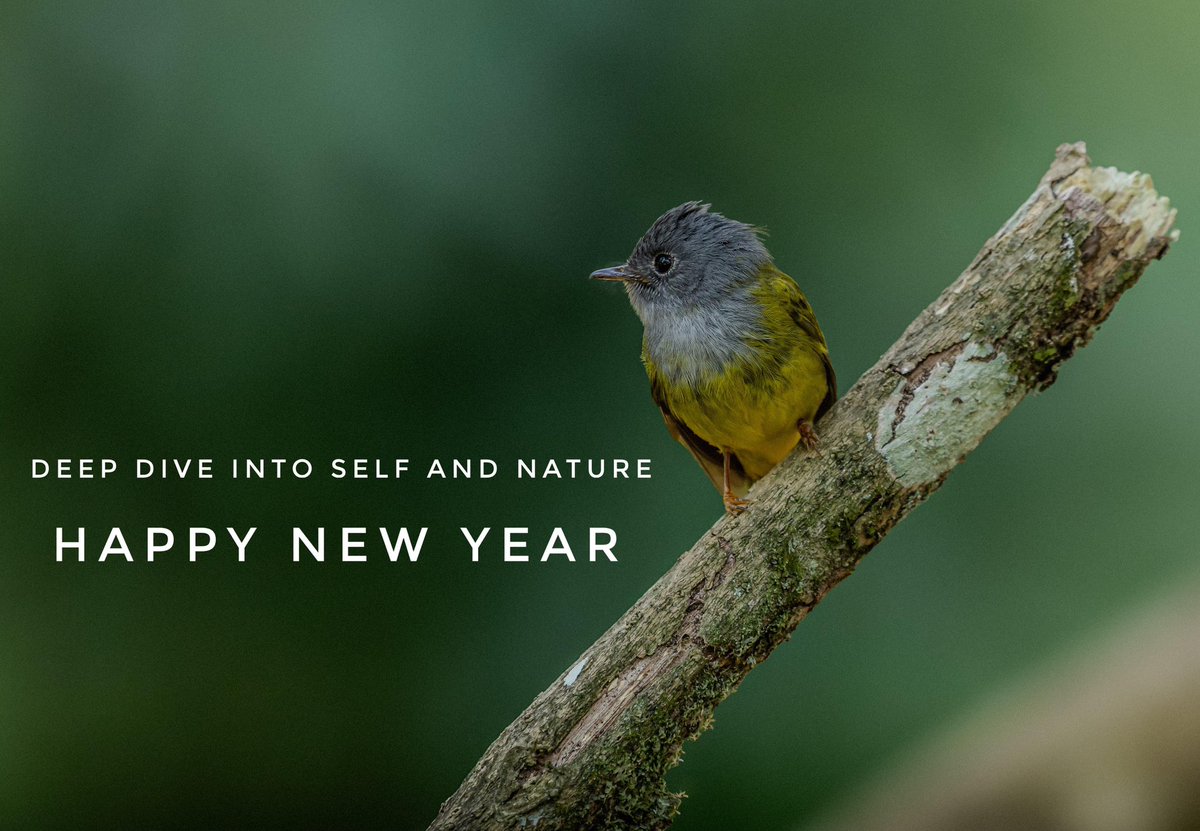 samanaveen's tweet photo. Happy New Year #HappyNewYear #HappyNewYear2025 https://t.co/ote6g4ZpUT