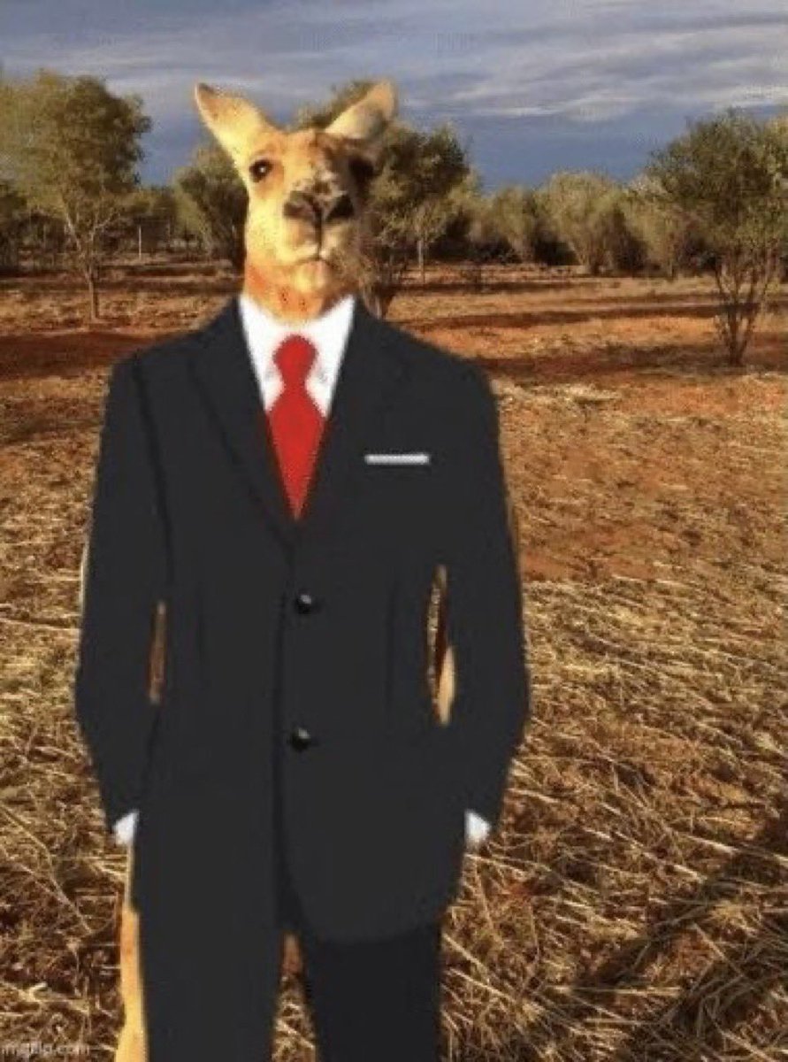 RogerCoinOnSol's tweet image. Happy New Year!