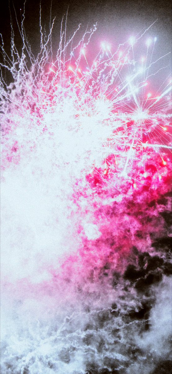 Polarizz tweet media