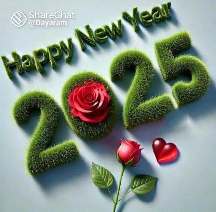 Happy new year 2025🎉🎉🎉🎉