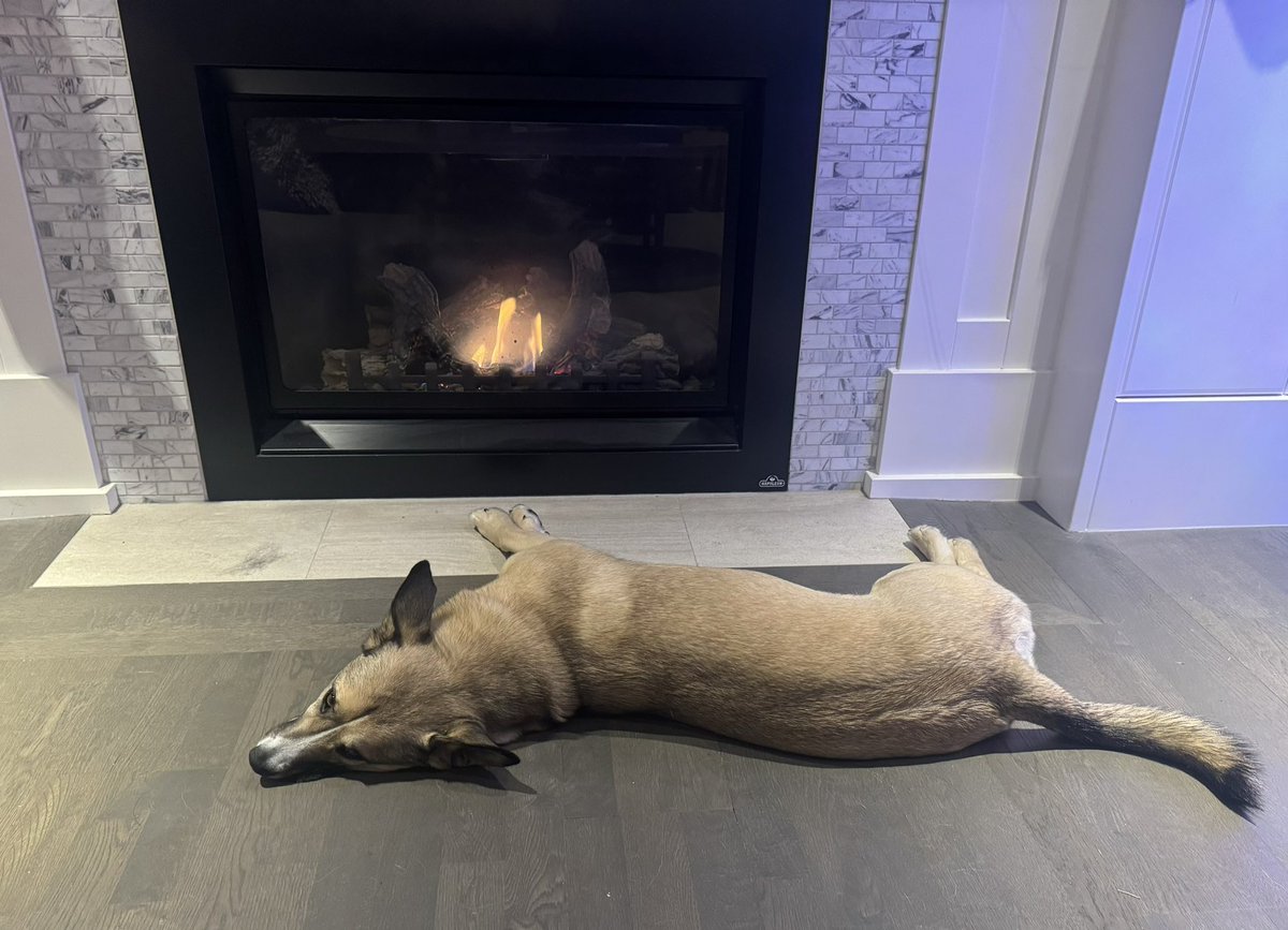 Okay first I’m checking out Lil Bon’s guided meditation album which is just Boney sleeping.