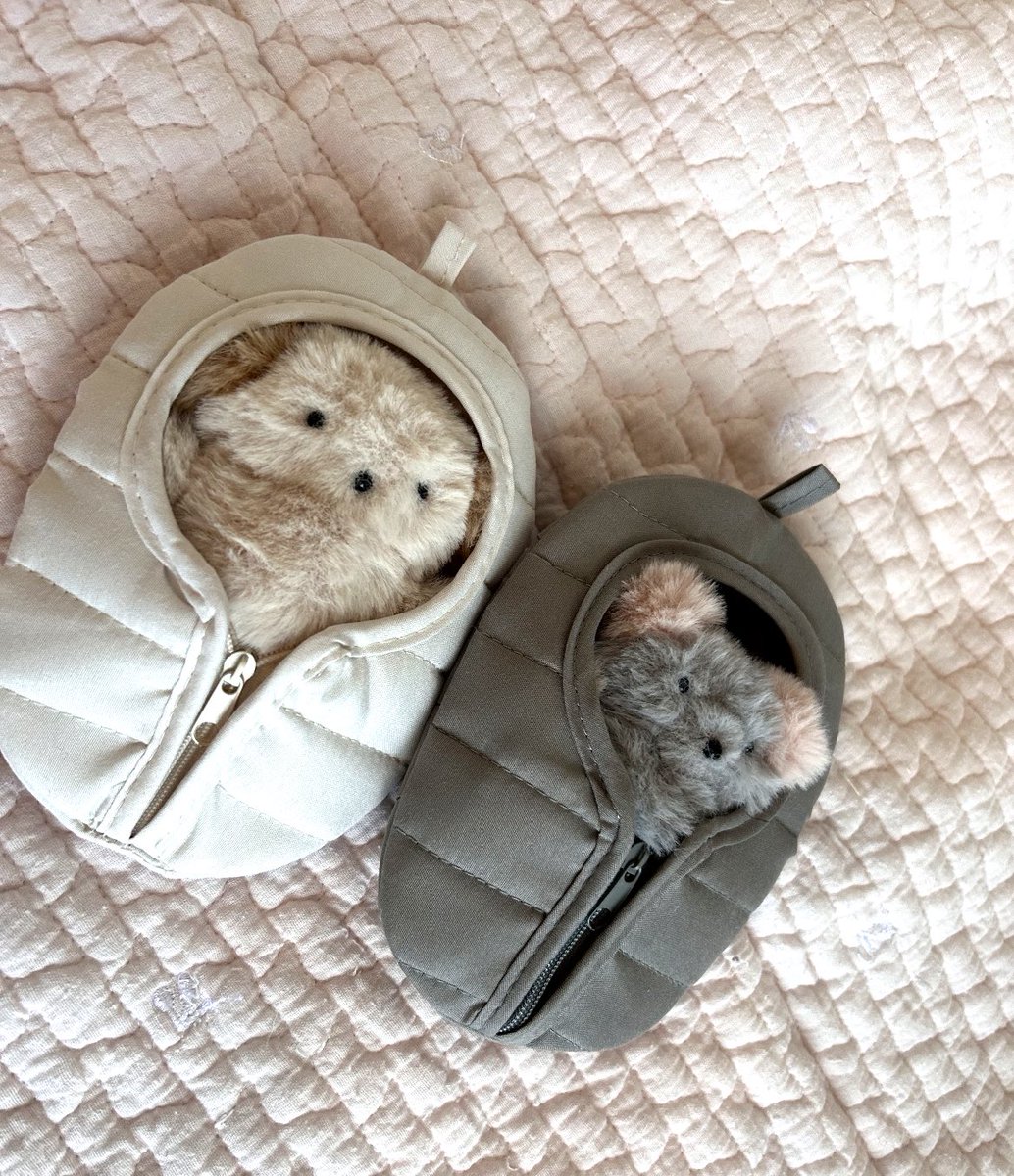 あけましておめでとうございます🎍
本年もどうぞよろしくお願いいたします！

全然浮上しておらずすみません🙇
撮り溜めたかすてらたちの写真をまた少しずつ載せていきます🐹