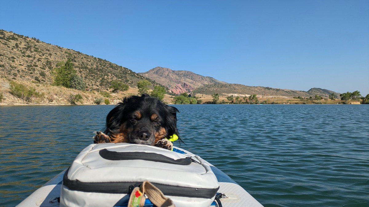 helloorockview's tweet image. 2024