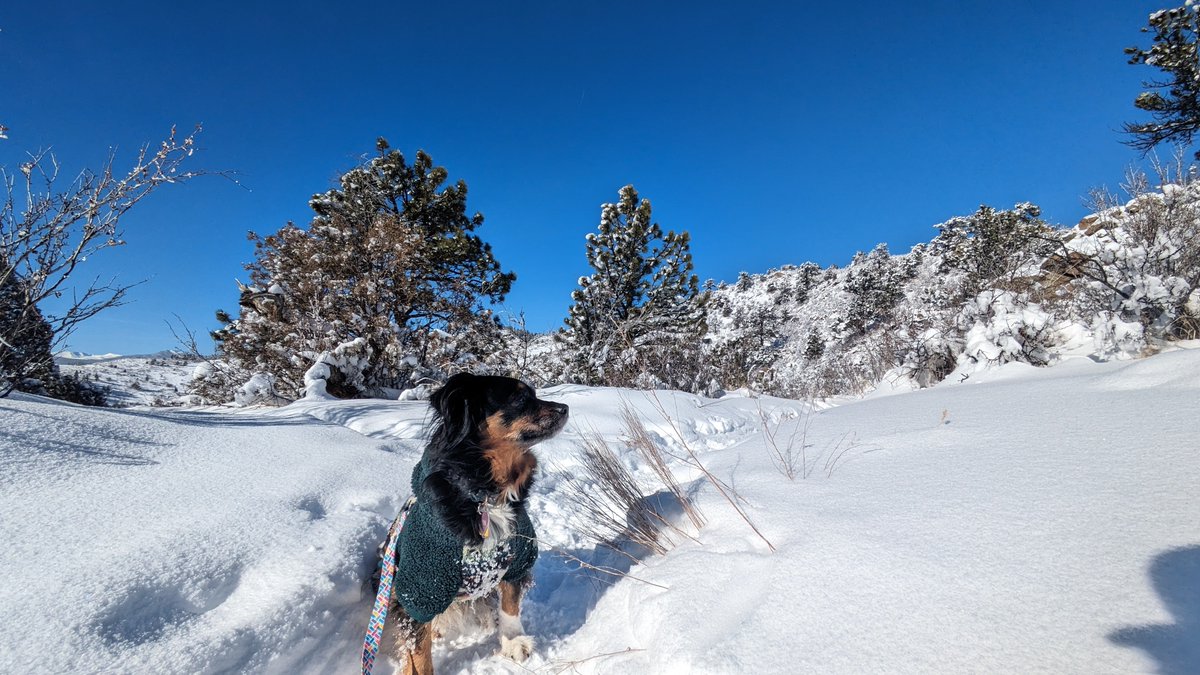 helloorockview's tweet image. 2024