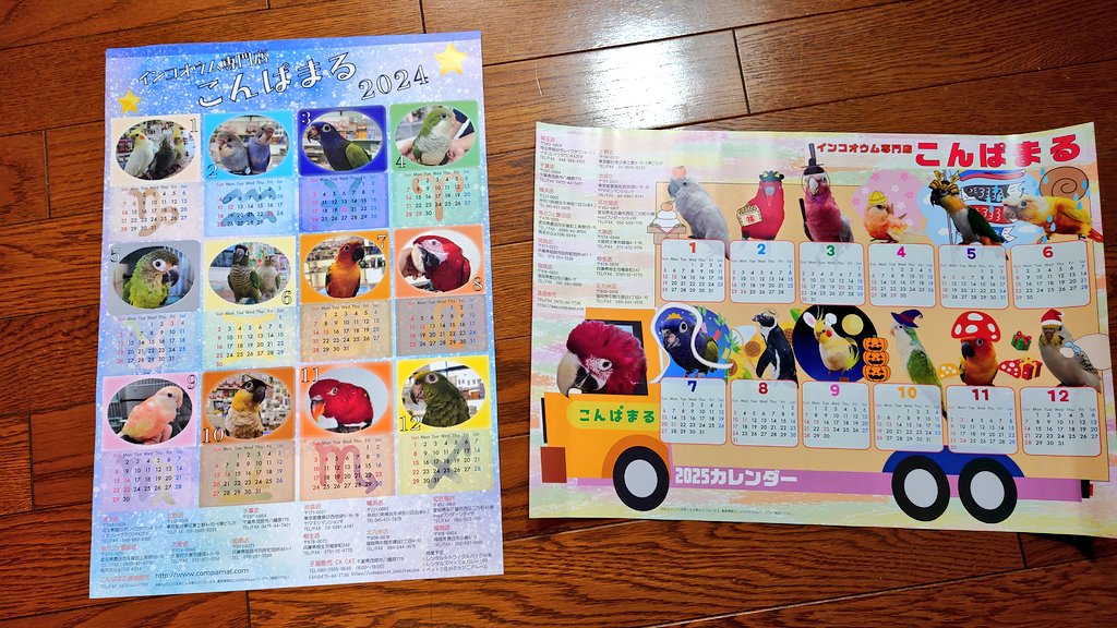 daisukidayomama's tweet photo. 新年のご挨拶を申し上げます😌
平和な一年でありますように。

新年はカレンダーを新しくしますね。今年もよろしく、2025年カレンダーさん達🗓️

ほぼ変わらない毎年同じカレンダーー😆
#2025年カレンダー
#JRAファン投票カレンダー
#鳥博カレンダー
#100均鳥さん
#Weeklyシマエナガ
#こんぱまる https://t.co/blt8BAHzCC