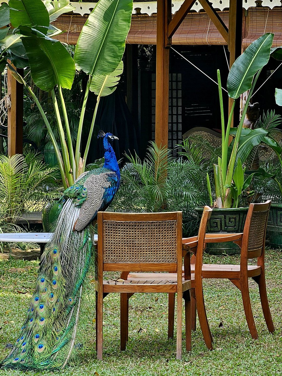 Happy &amp; peaceful 2025 to everyone around the world.