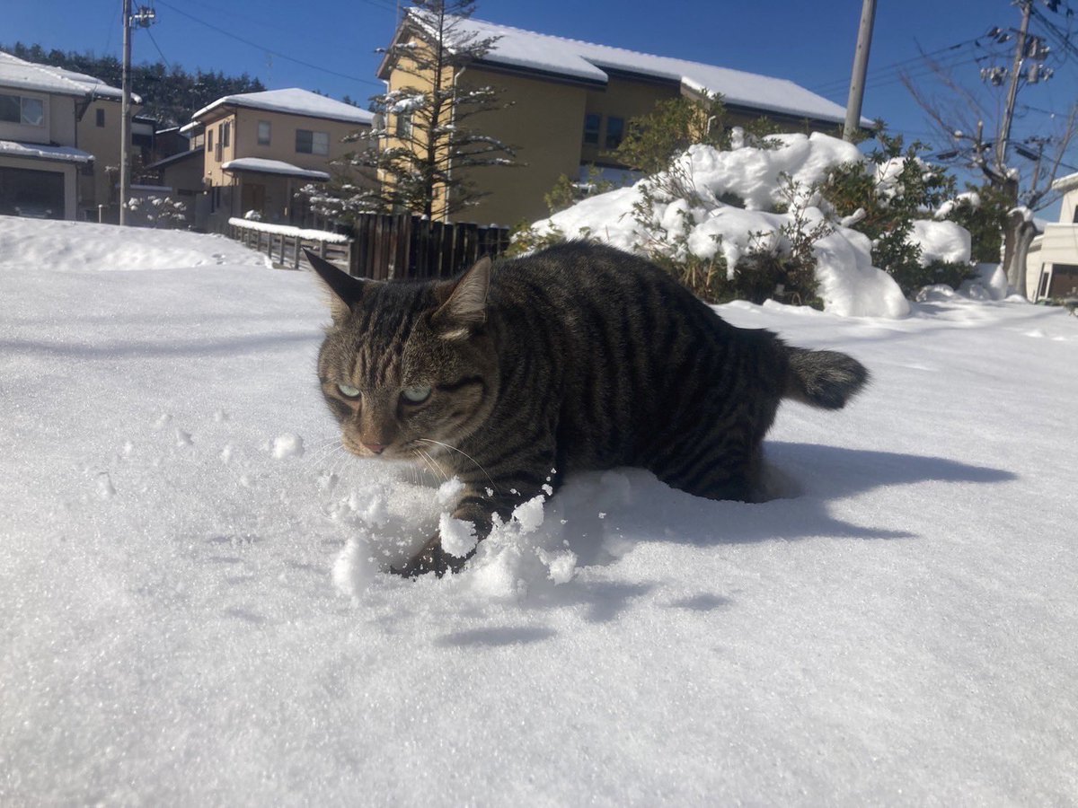 T4M4_ch's tweet photo. いい写真すぎて共有したい https://t.co/LyyJ3h2ZTu