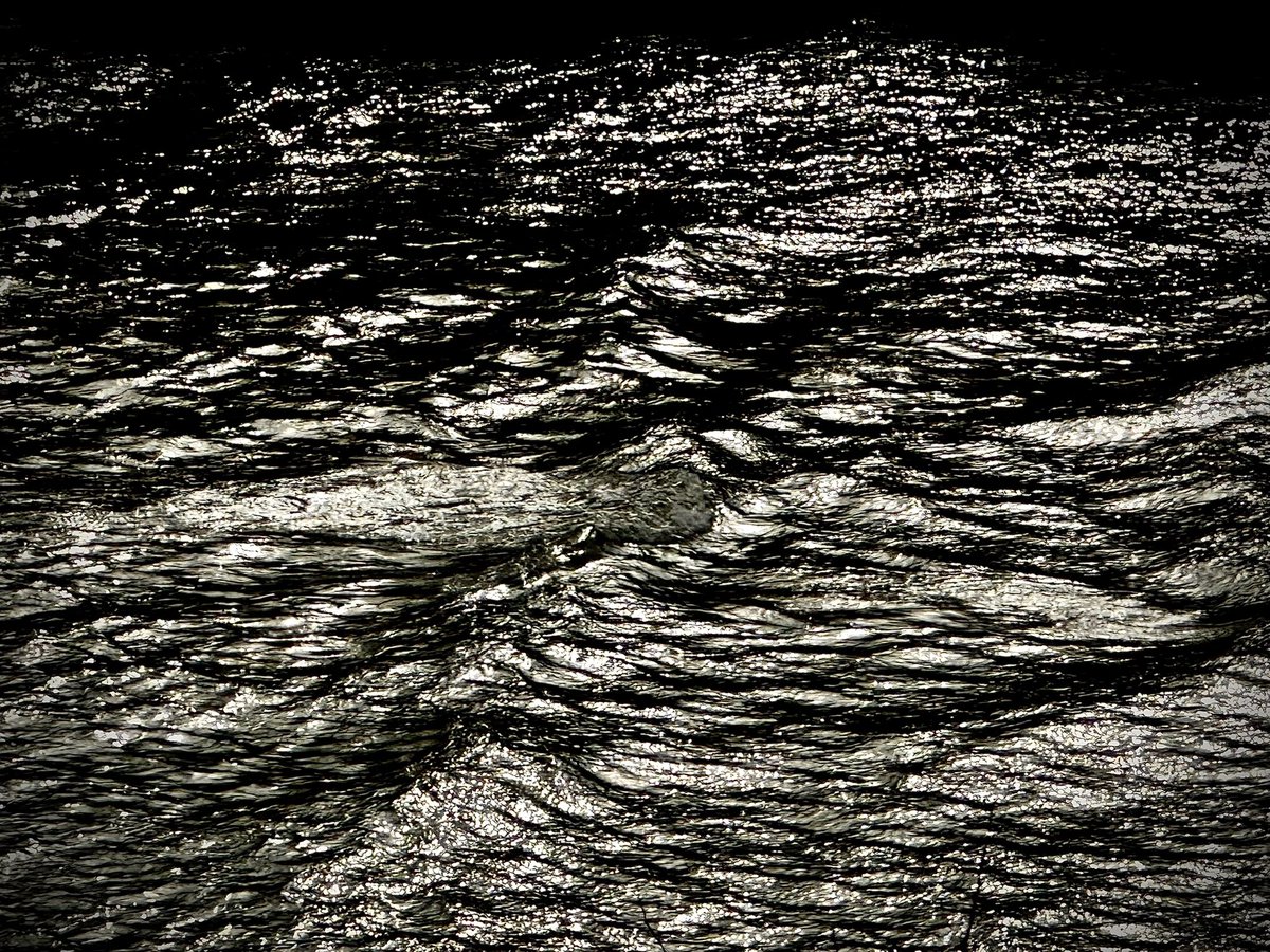 markdeeble1's tweet image. Happy New Year. If I have learned anything in the past 12 months it is: 

hold your loved ones tight, 
take nothing for granted, 
show gratitude, 
be kind.