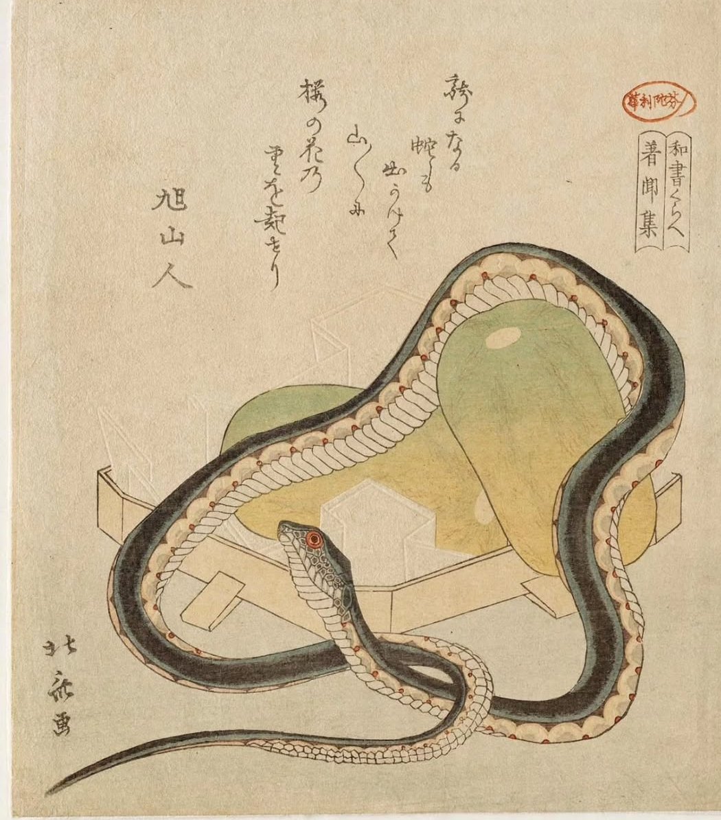 És l'any de la serp, cariños