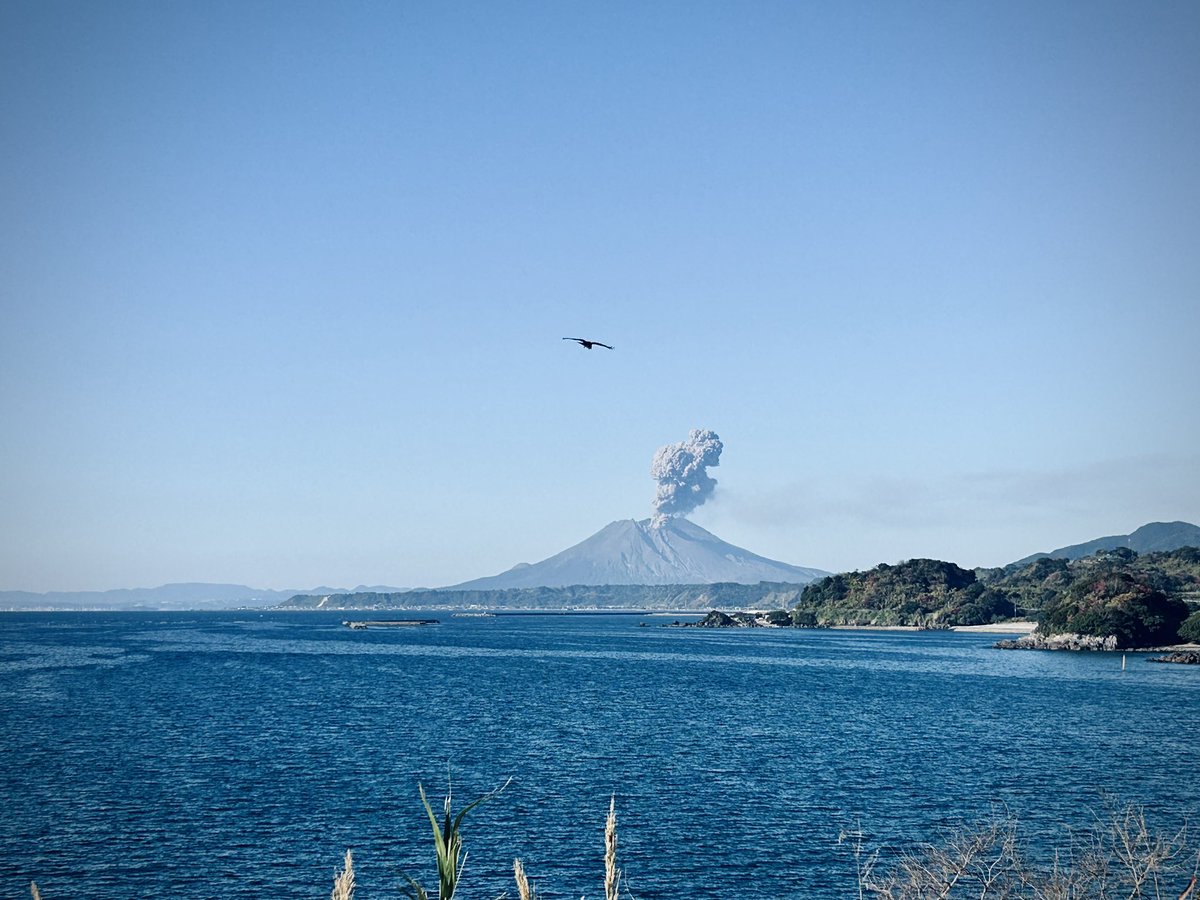 ZilartP_tragi's tweet photo. 鹿児島から、あけましておめでとうございます㊗️ https://t.co/xWvk8FD2vK