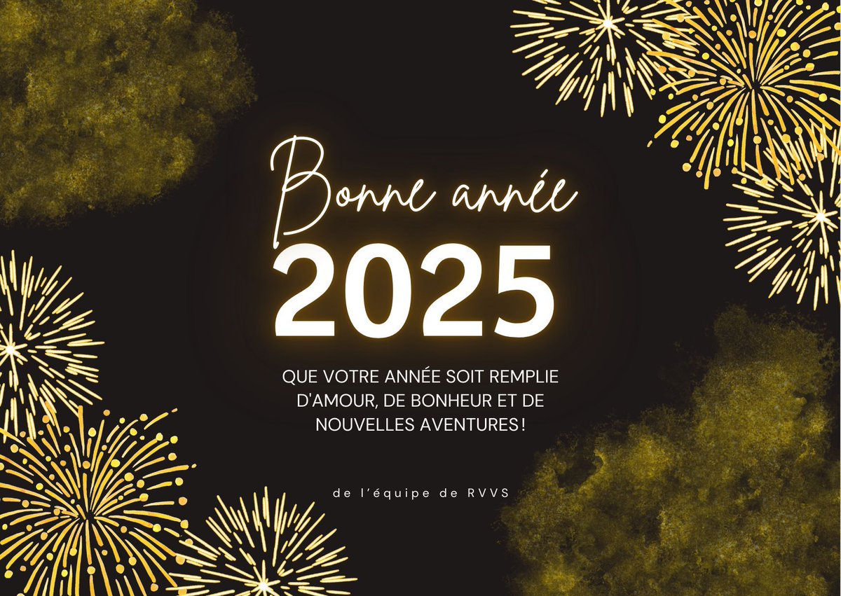 L'équipe de RVVS vous souhaite une excellente année 2025 🎊 ✨