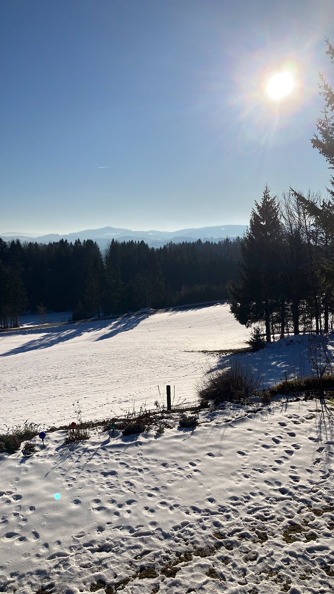 Eva Kempinger #Herzerwärmung statt #Erderwärmung. tweet media