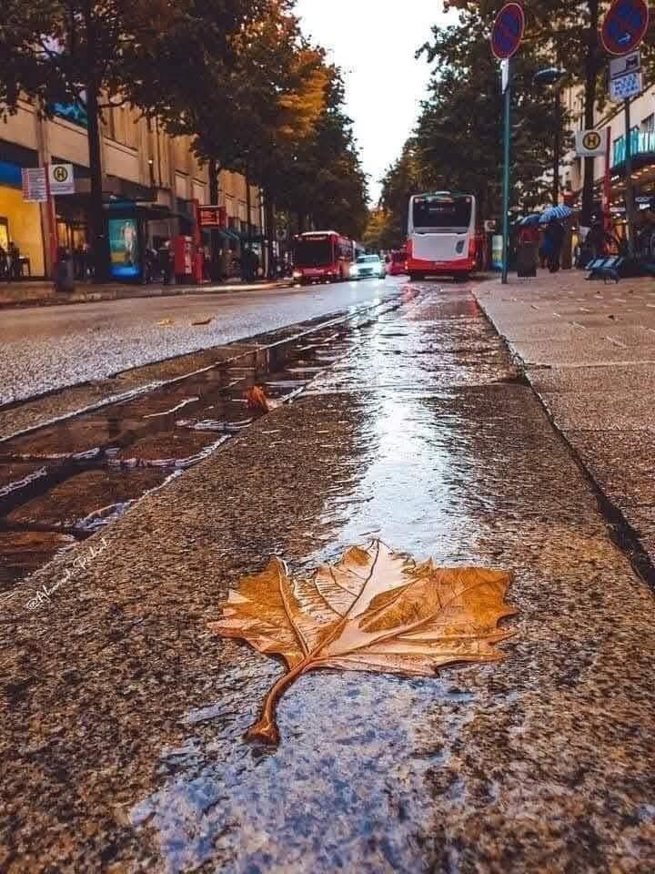 أشياء  ،تهجرنا وأخرى ،تغادرنا
وأشياء ،تسرق أوقاتنا  
وأشياء ،تقسو علينا في لحظة  ضعف
وأشياء ،تتنكر  كأننا  ما أحببناها  يوما 
وأشياء ،تحن إلينا  لكن بعد ،فوات الأوان 
وأشياء ،نخفيها  في صدورنا  ،فتجرحنا 
وأشياء ،خطفت منا أغلى ،سنوات العمر 
 🩸 ونحن نكتفي ،بالمشاهدة 🩸