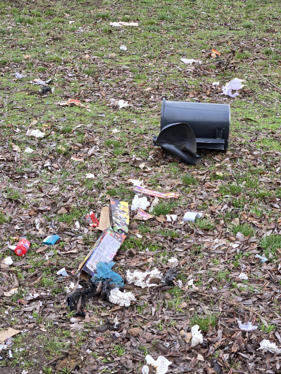 Mori🌻 tweet media