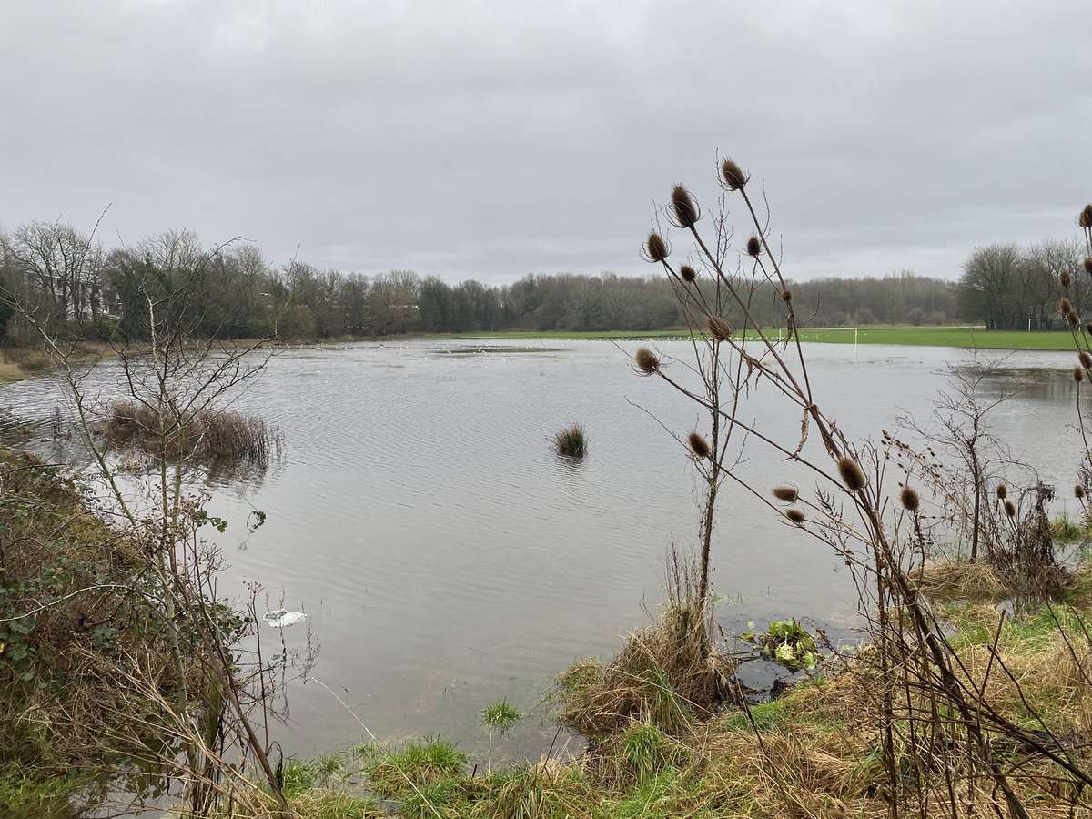 Turn Moss Lake this morning! It did its job well last night
