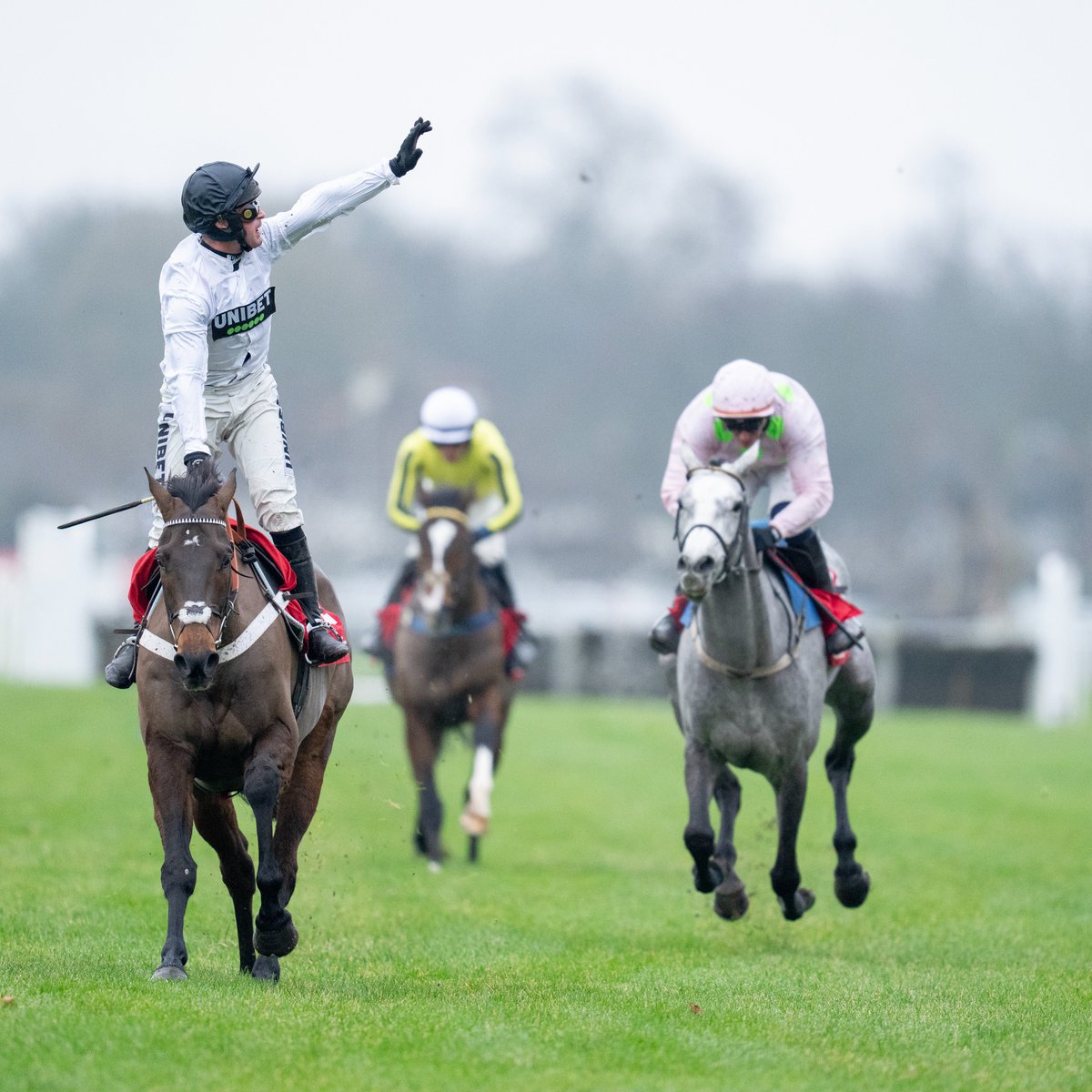 Racing Post tweet media