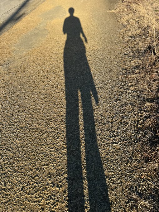 2025年走り初め〜
身につまされるオーディオブック聴きながら
4キロをダラダラと 