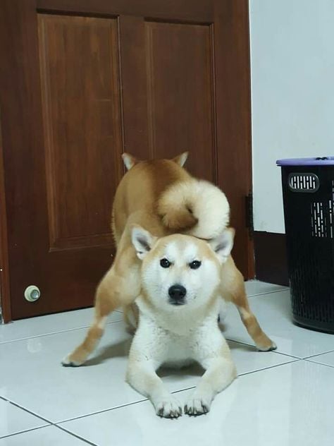 새해 복 많이 받으세요 😘