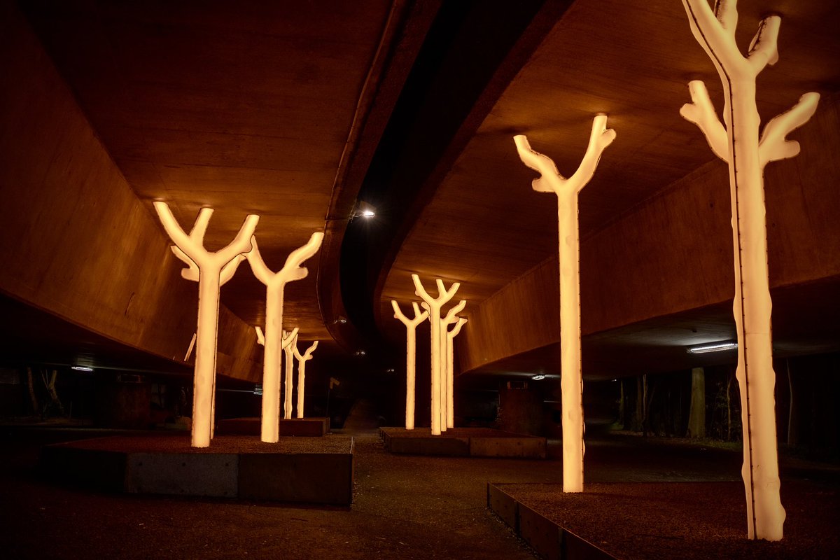 tim ritchie tweet media