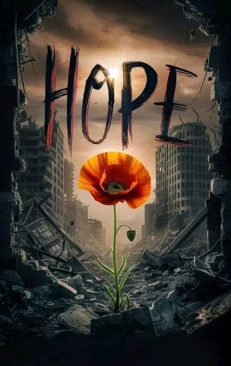 Goebeert Cathy 🇧🇪 (@goebeert1) on Twitter photo 