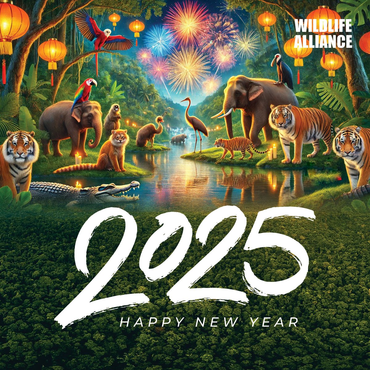Wishing everyone a fantastic year ahead, brimming with success, prosperity, and good fortune. Happy New Year 2025 to all!
#wildlifealliance #HappyNewYear2025