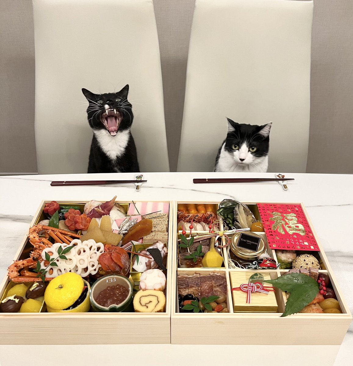 おせちキターーーーーーーーー」