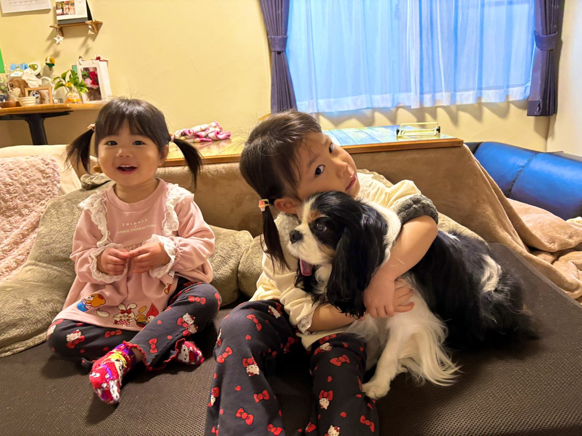 imoutohan's tweet photo. お正月。
せなくんいないので我が家はちんまりお正月。
いもいもは、すんごい(値段がw)風船買ってもらってご機嫌。
おもちもついて食べてご機嫌。
れっちゃんもおもちをたくさん食べてご機嫌。
さあ新年です。
いもうとはん、ついに育休終了です。
どうなることやら。
今年もれむいもいもをよろしくね https://t.co/pJLkHxAhVg