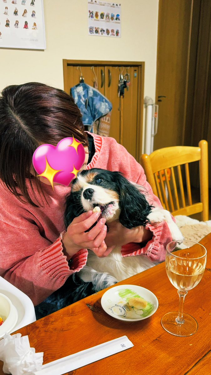 imoutohan's tweet photo. お正月。
せなくんいないので我が家はちんまりお正月。
いもいもは、すんごい(値段がw)風船買ってもらってご機嫌。
おもちもついて食べてご機嫌。
れっちゃんもおもちをたくさん食べてご機嫌。
さあ新年です。
いもうとはん、ついに育休終了です。
どうなることやら。
今年もれむいもいもをよろしくね https://t.co/pJLkHxAhVg
