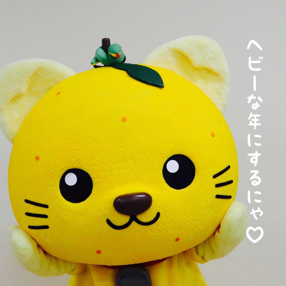 yuzu様専用 ハチミツ柚さま専用特典 ハチミツ柚さま専用特典 ハチミツ