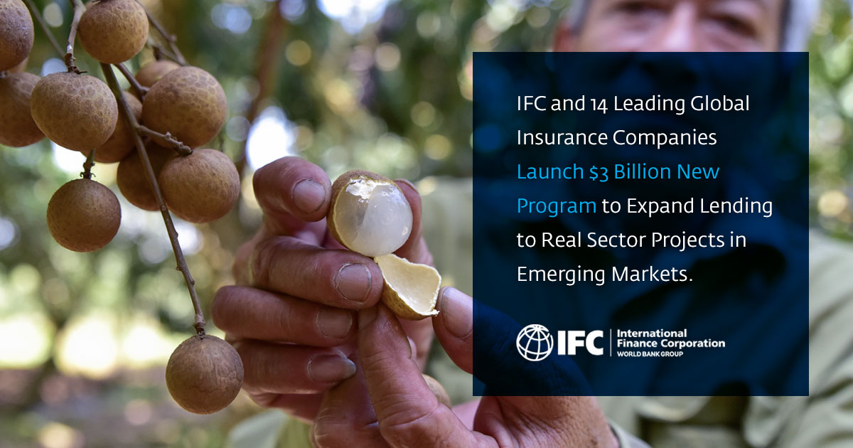 IFC_SouthAsia's tweet image. No single financing solution can address development challenges alone. Find out how @IFC_org’s new program, MCPP Real Sector, backed by 14 global #insurers, is unlocking billions to support real economy sectors in #developingmarkets. wrld.bg/v1Th50UvvJM
